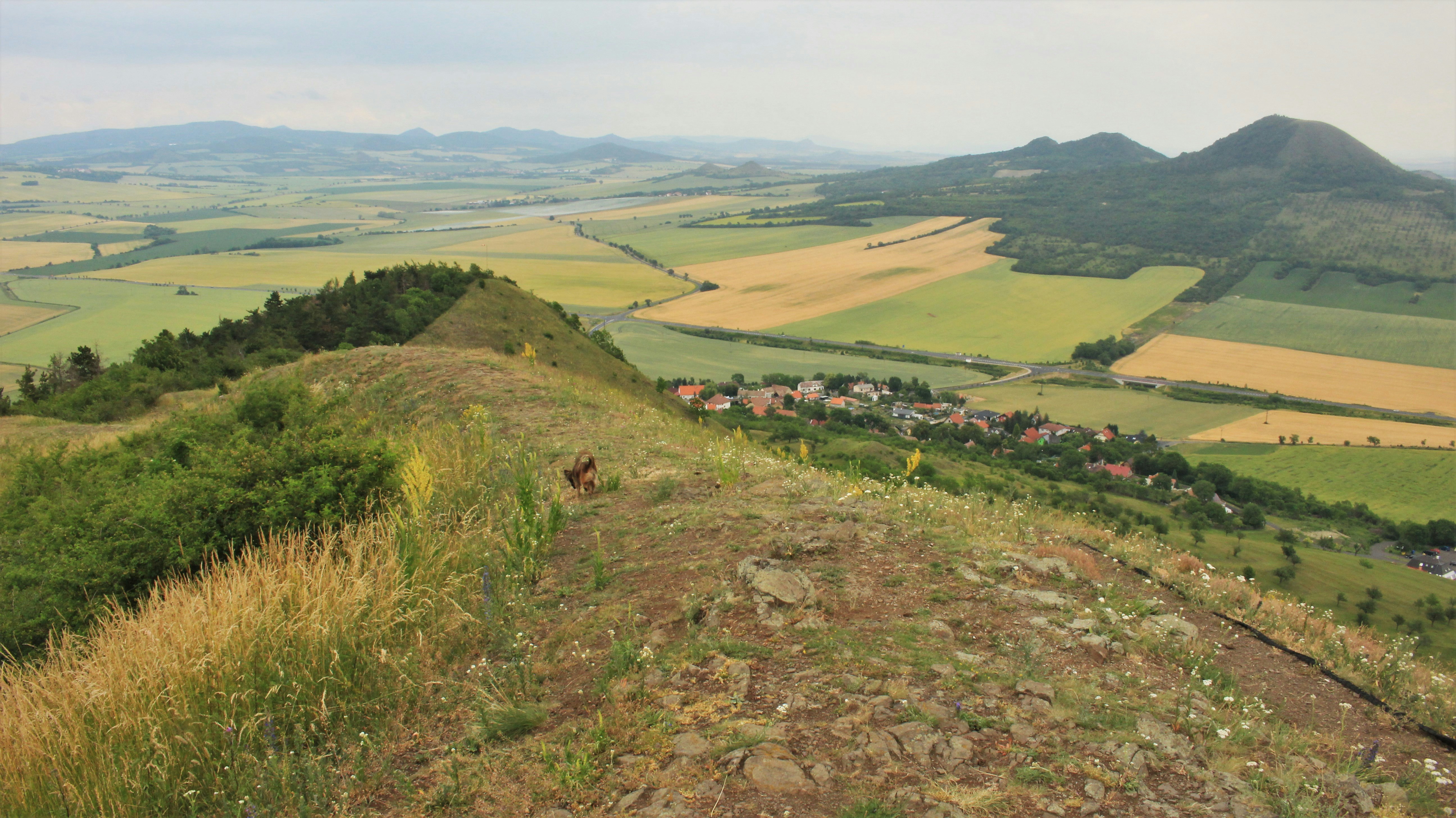 Photo by marjorylucabaxter