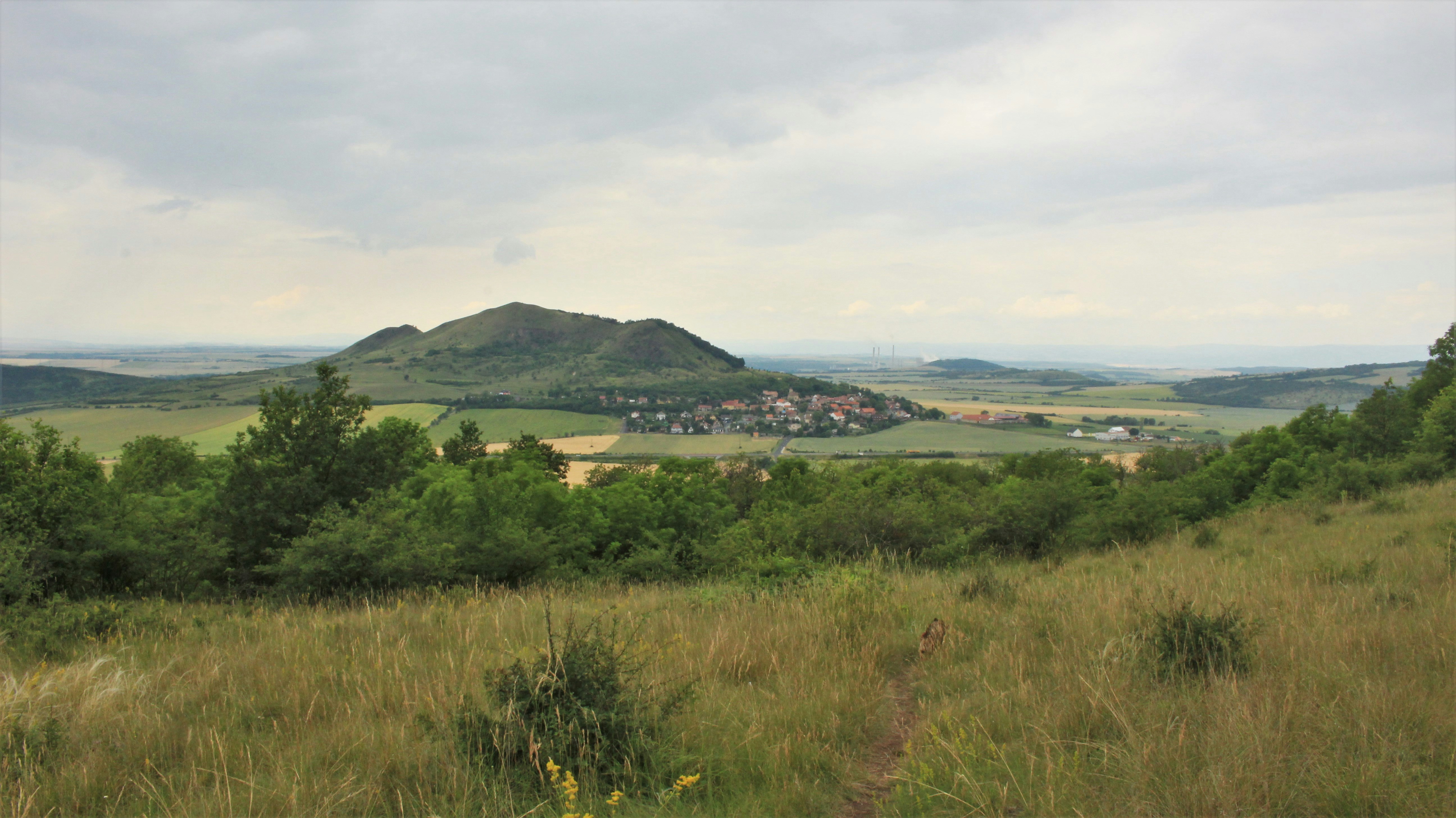 Photo by marjorylucabaxter