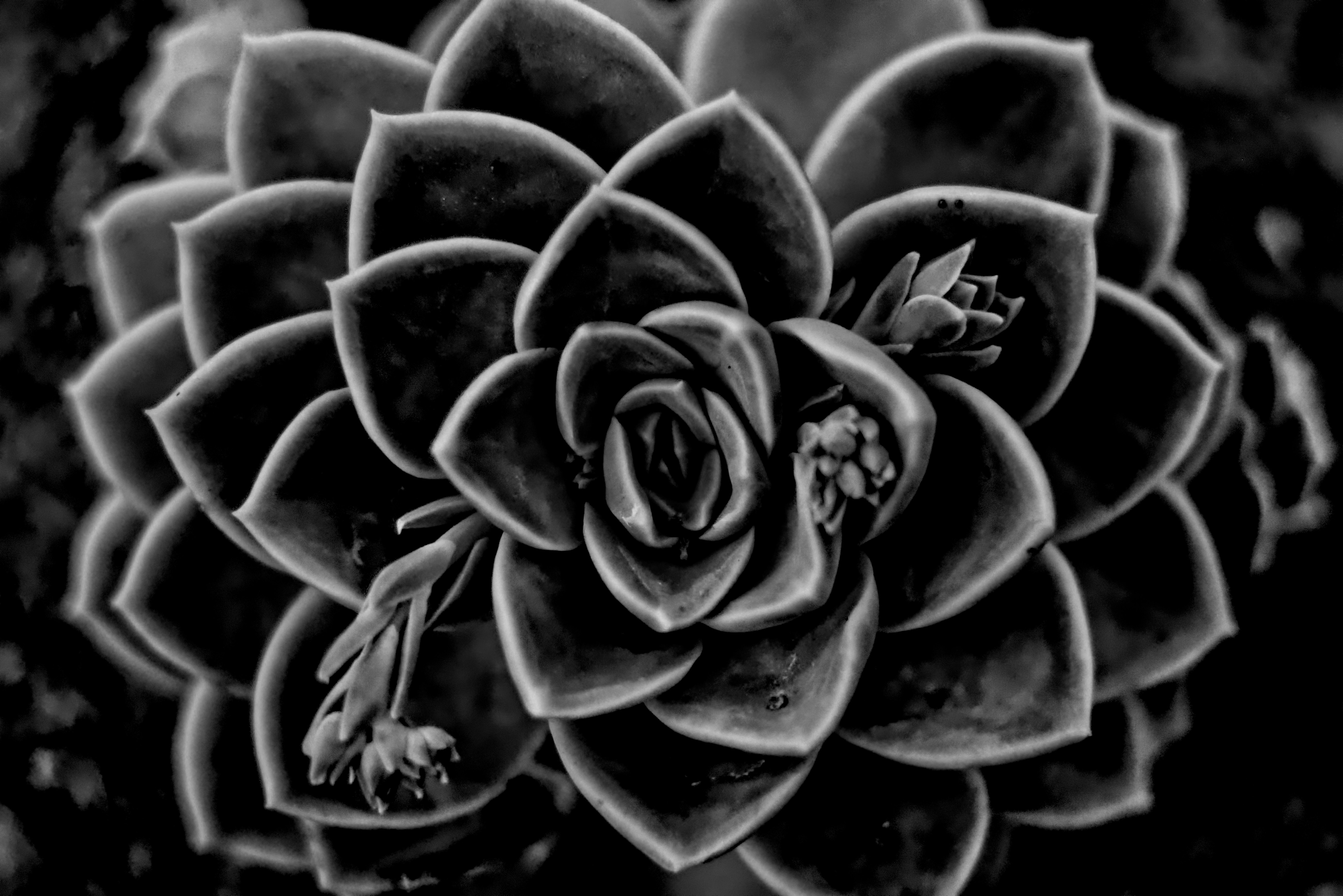 Photo by jaydenbrand