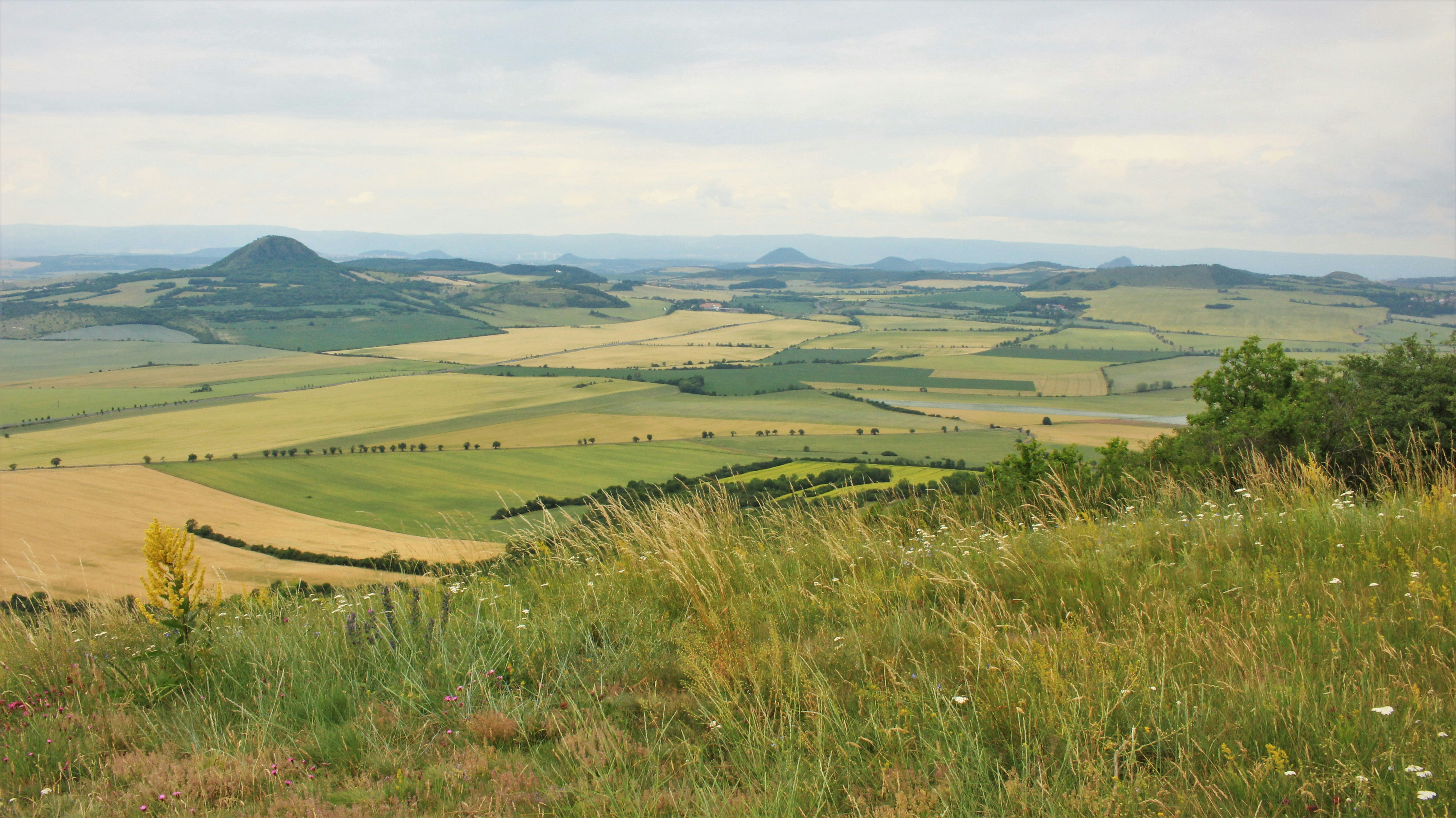 Photo by marjorylucabaxter