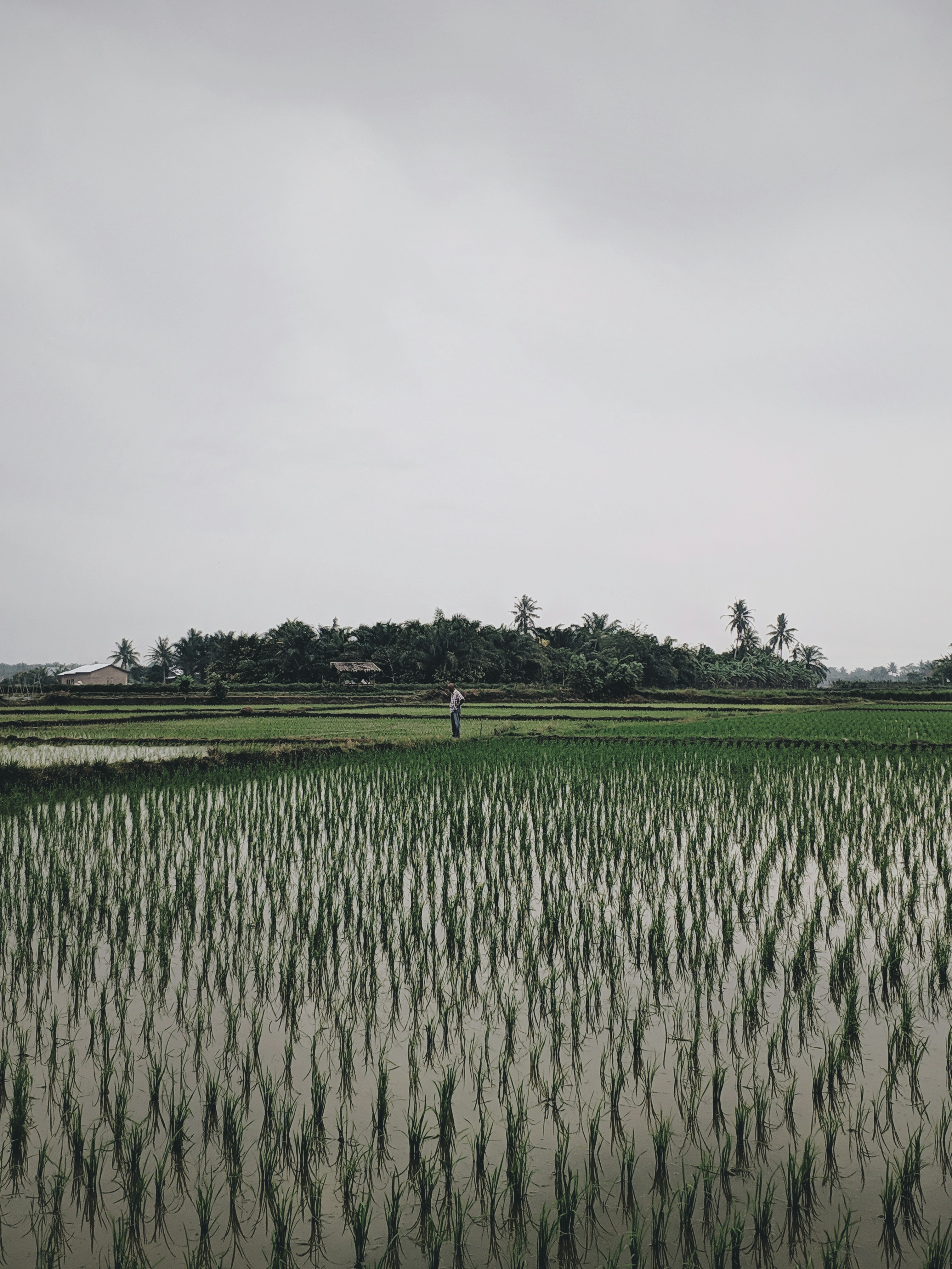 Photo by kopikemarin