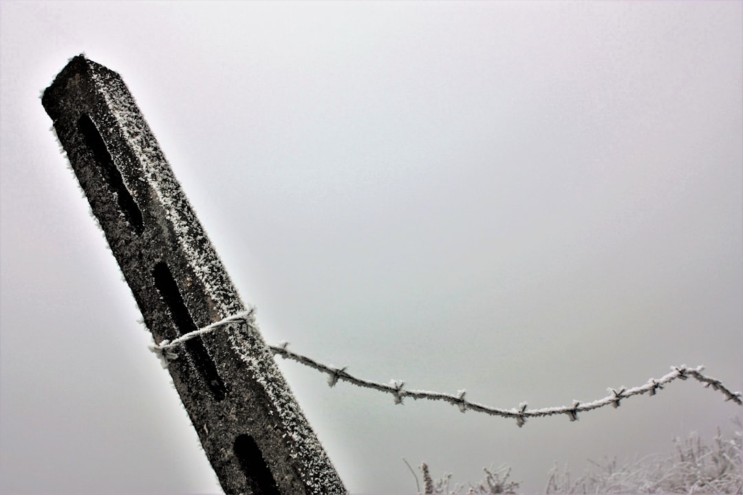 black with barb wire