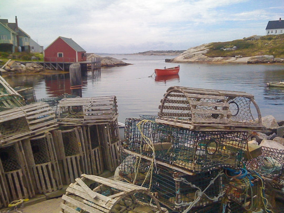 brown cages, Vintage Lobster Traps