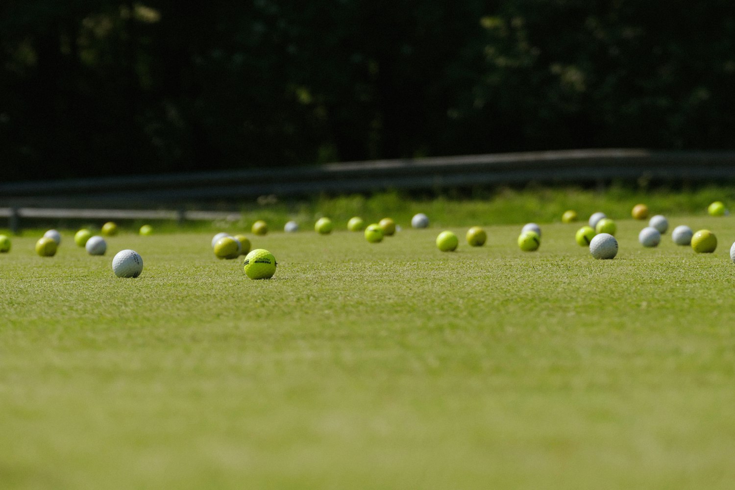 Bunch of golf balls on a grass