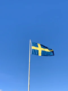 Photo of the Piauí state flag waving against a clear blue sky.