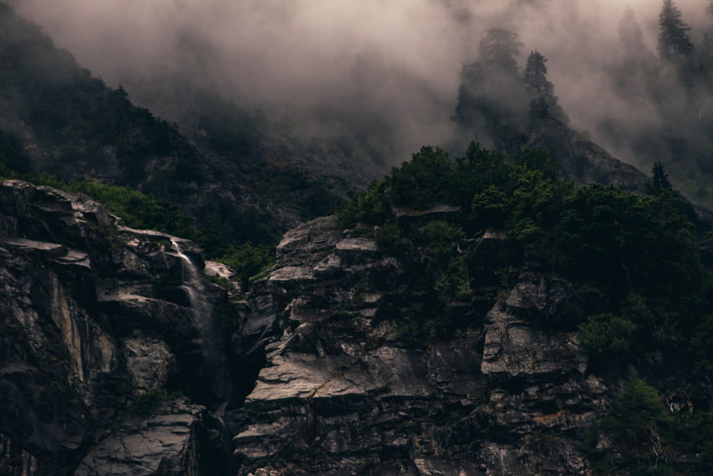 gray and green mountain with fogs