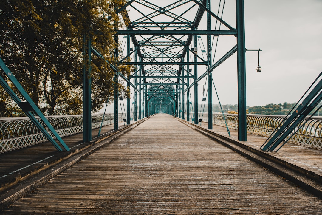 brown wooden bridge,
