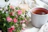 A softly lit close-up of a steaming mug of tea resting on a cream linen cloth beside a small sprig of sage.
