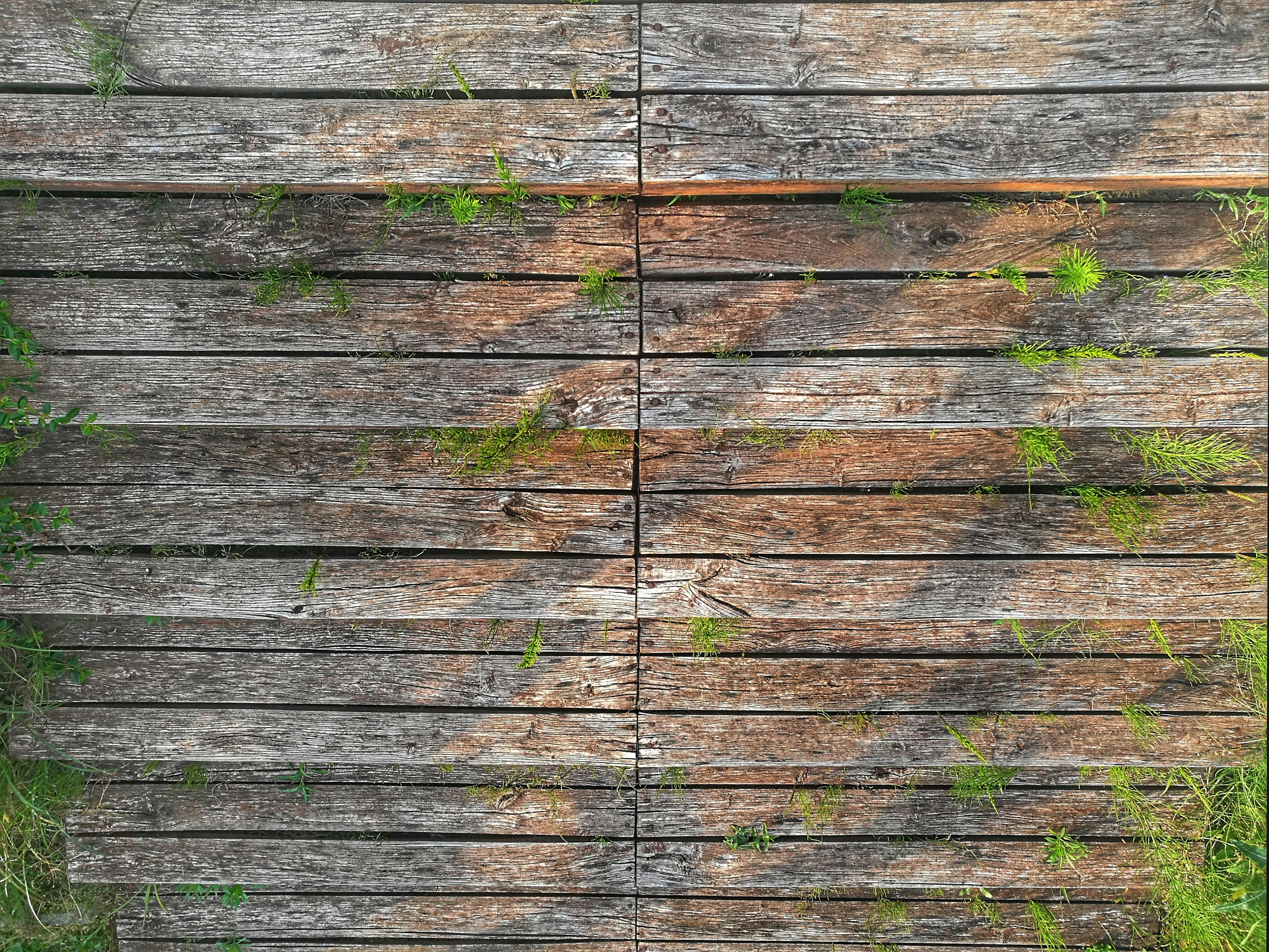 photo-1561241556-06534c529ea0?ixid=M3wxMjA3fDB8MXxzZWFyY2h8MTN8fGludmVydGVyJTIwaHVhd2VpJTIwNWt3JTIwJUUwJUI4JUEzJUUwJUI4JUIyJUUwJUI4JTg0JUUwJUI4JUIyfGVufDB8fHx8MTcxMDU0NjYzMXww\u0026ixlib=rb-4.0.3