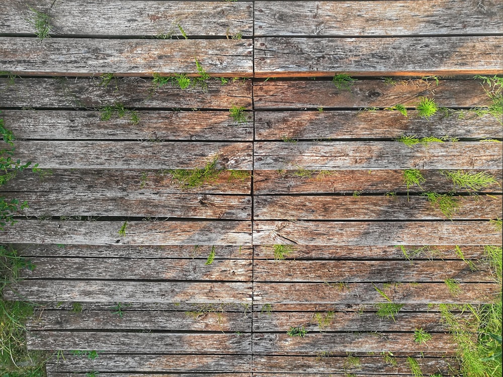 Fotografía de primer plano de superficie de madera marrón