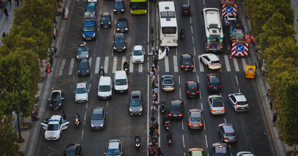 vehicles on road at daytime