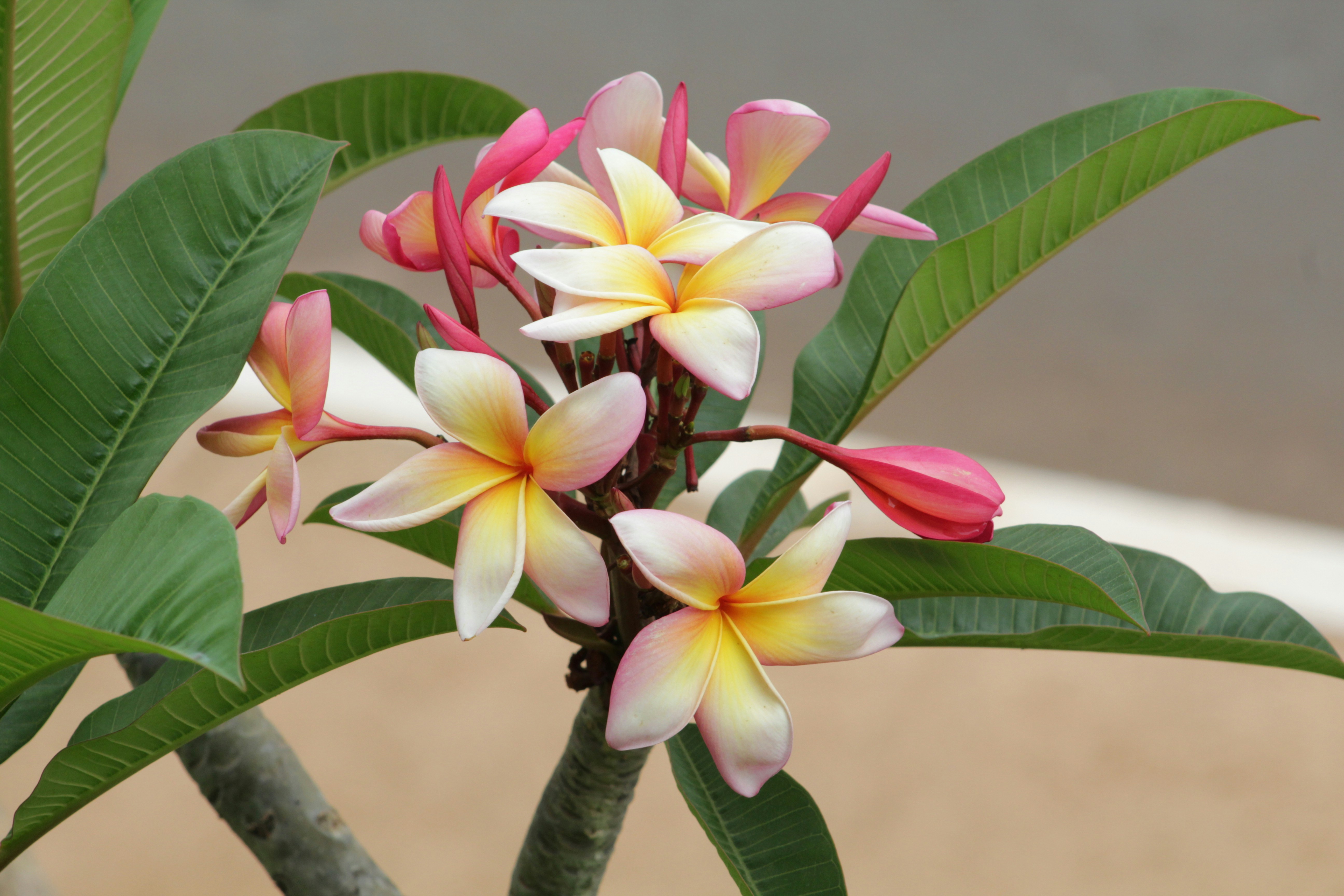 Photo by carmelita_rodrigues