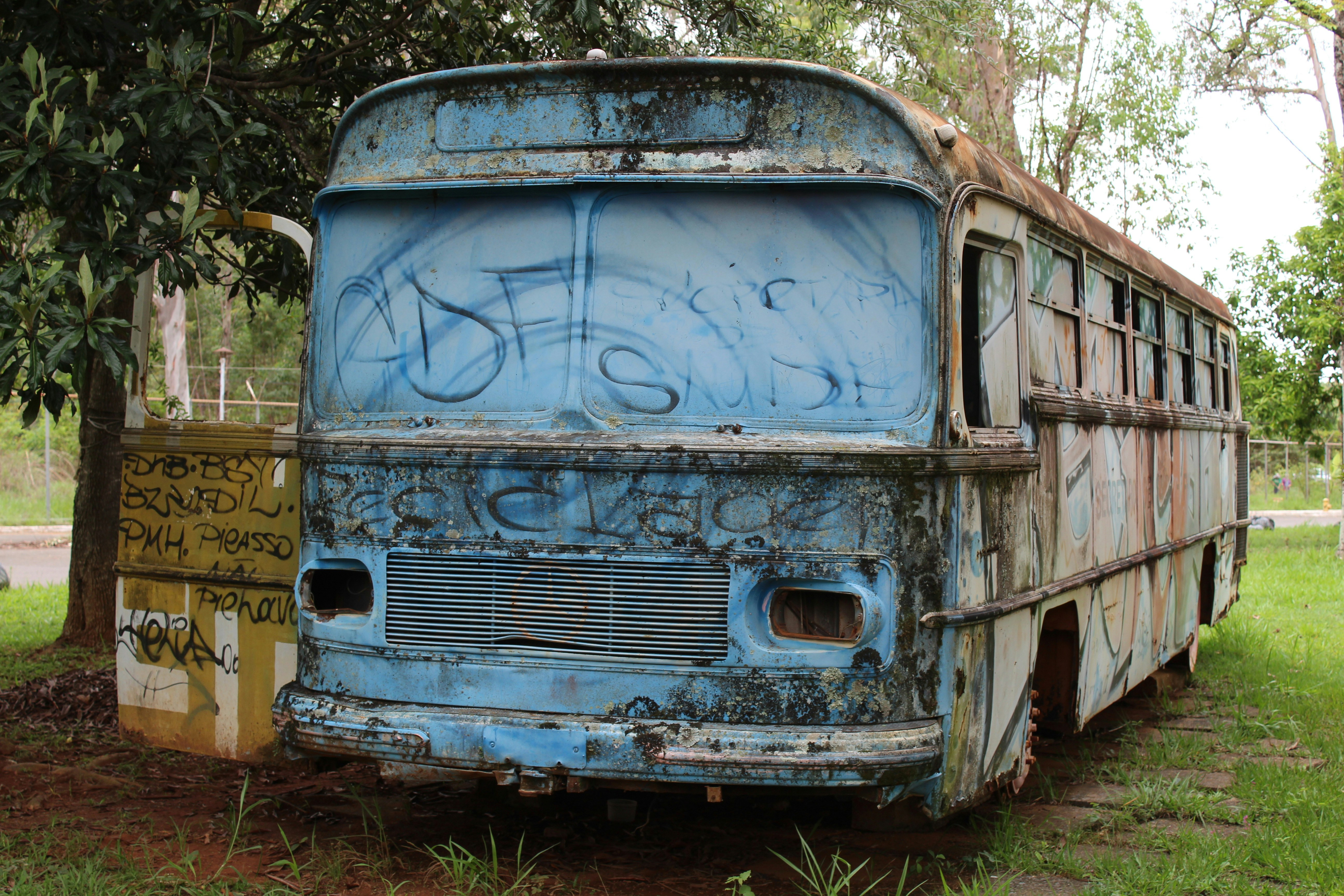 Photo by carmelita_rodrigues