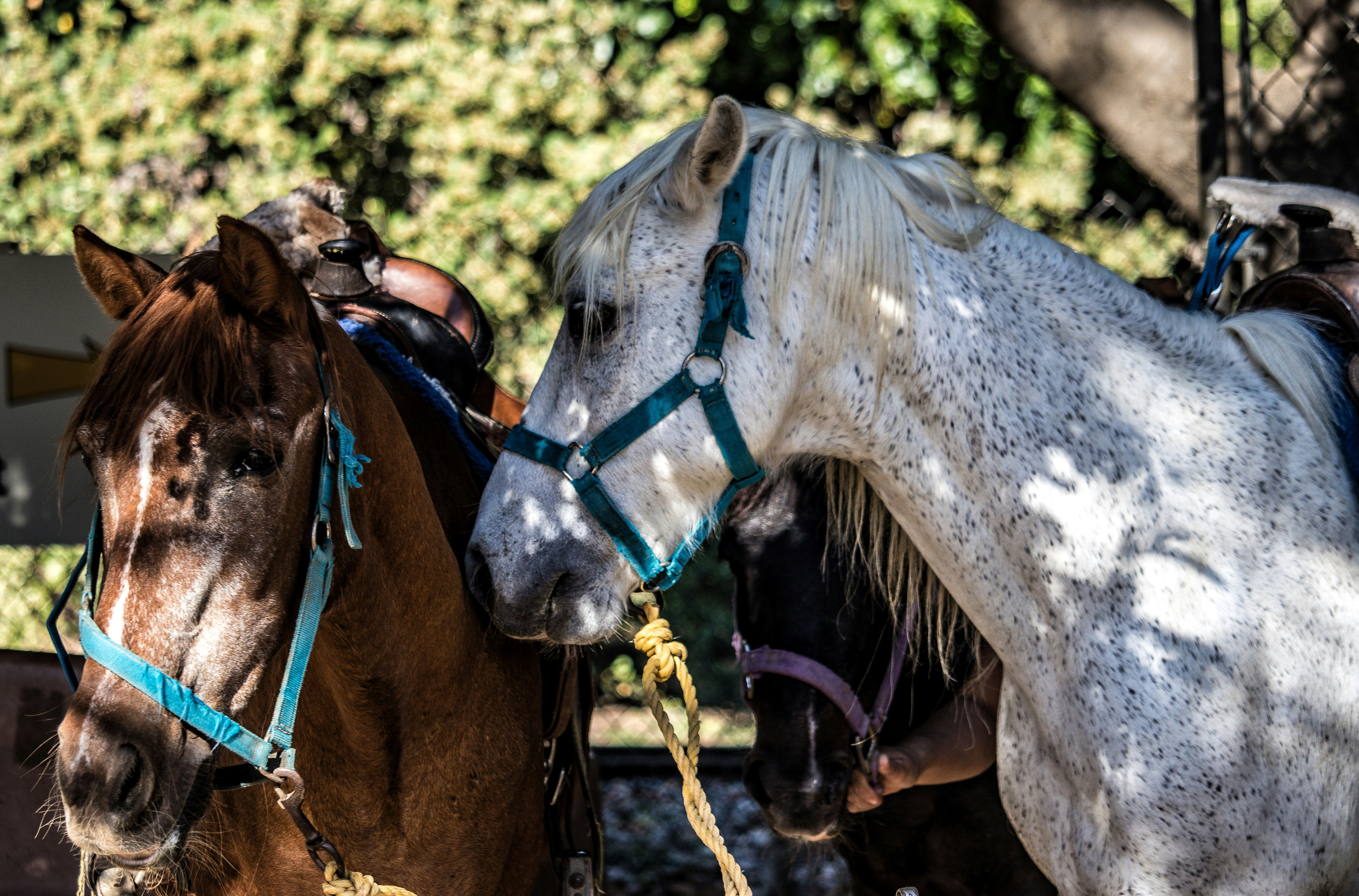 Premium 13/09/2022 Daily Update