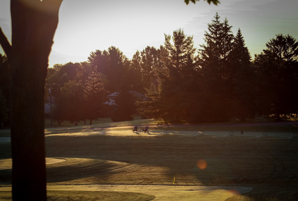 the sun shines on a golf course with trees in the background