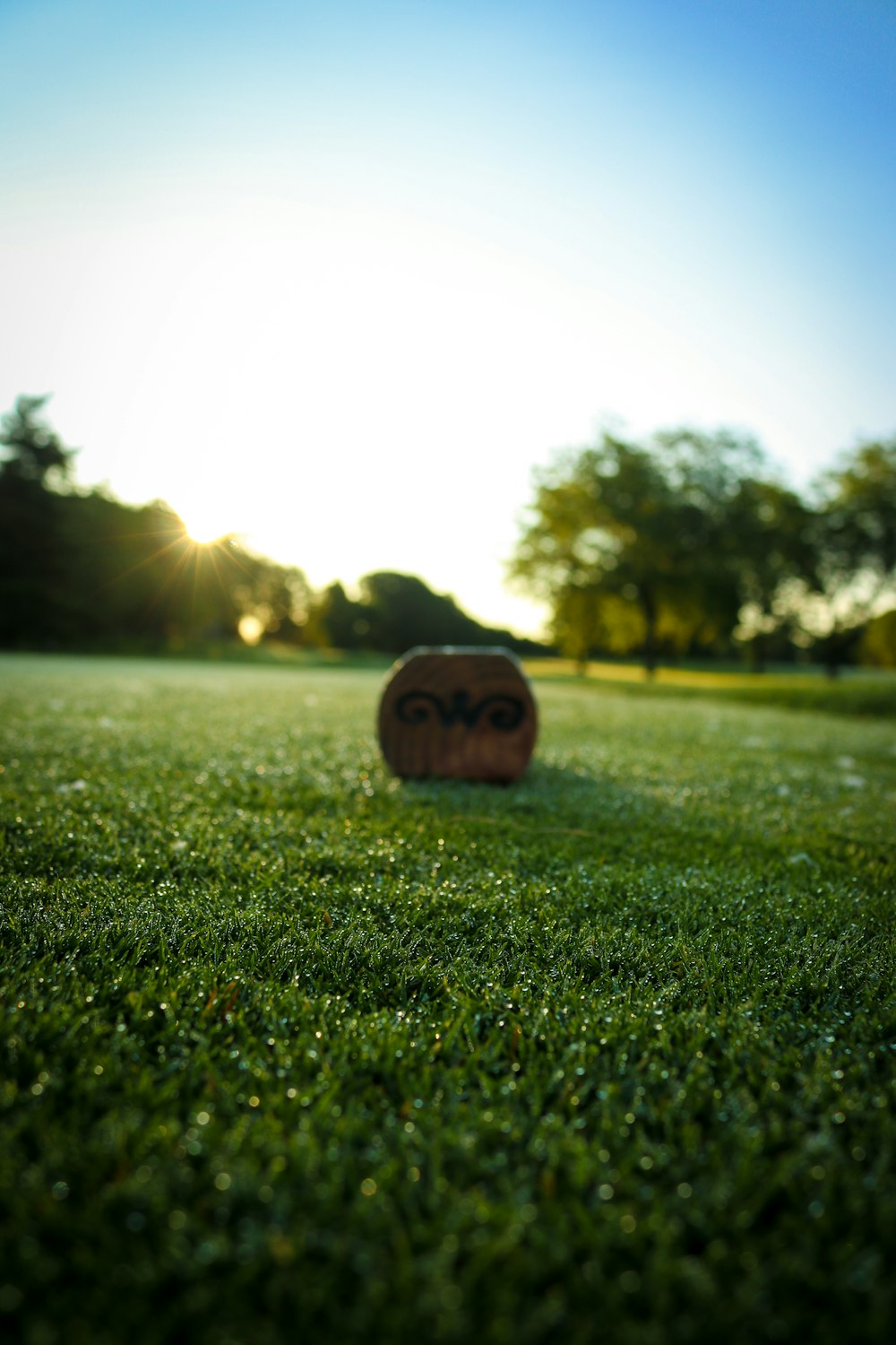a hay bale sitting on top of a lush green field