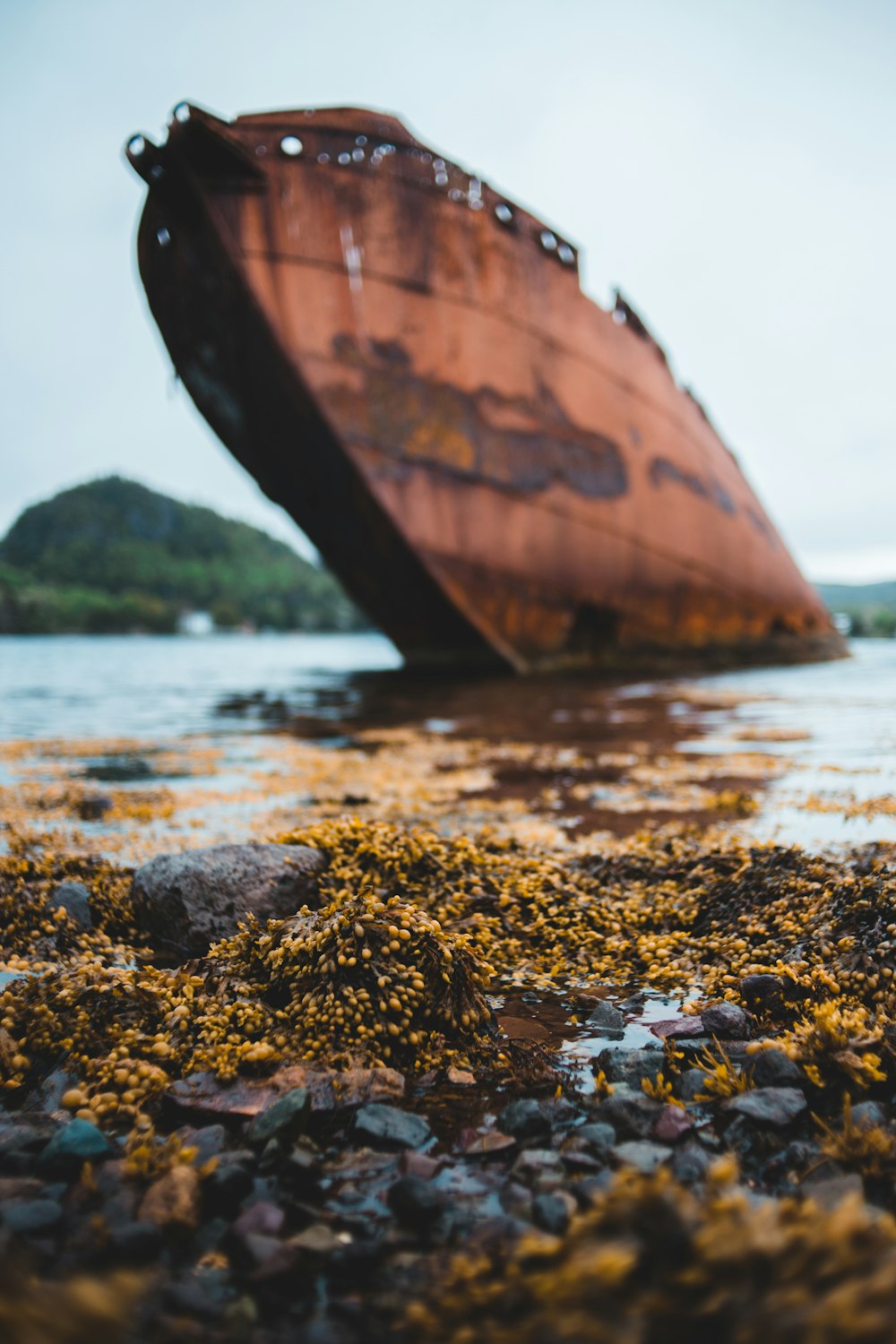 brown boat during daytime close-up photography