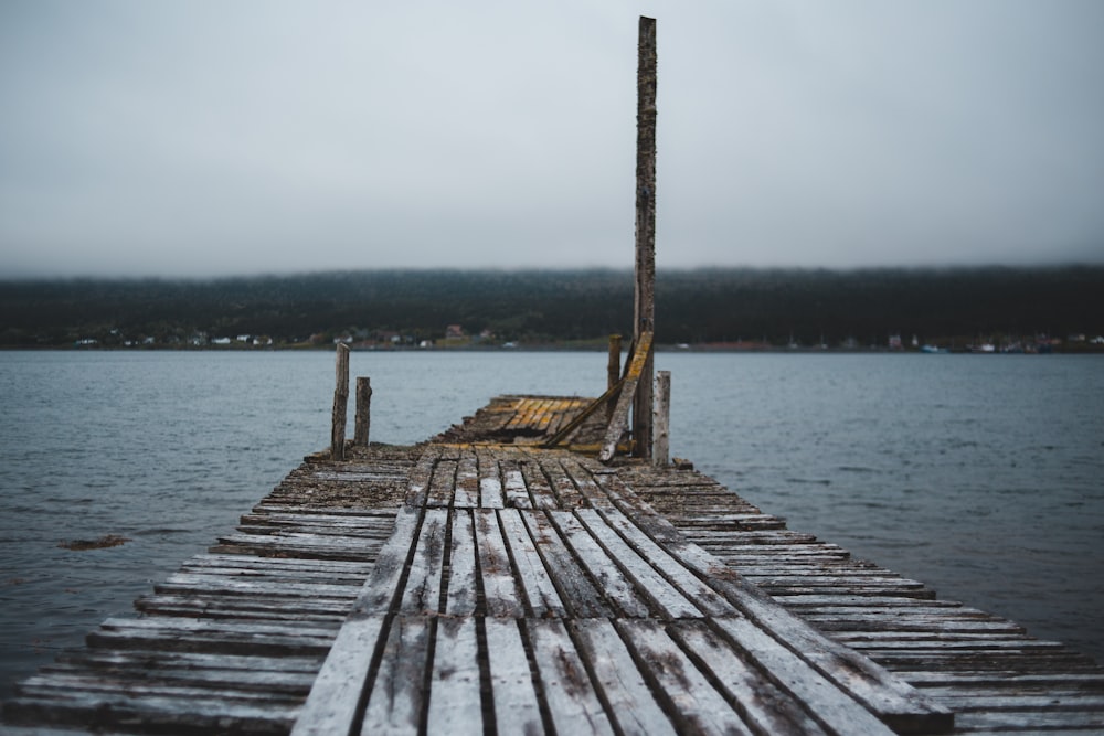 brown and white wooden boardwalk