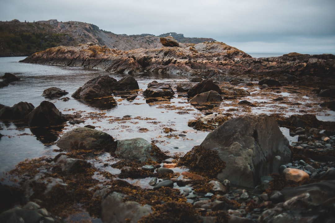 rock formation near body of water during daytime