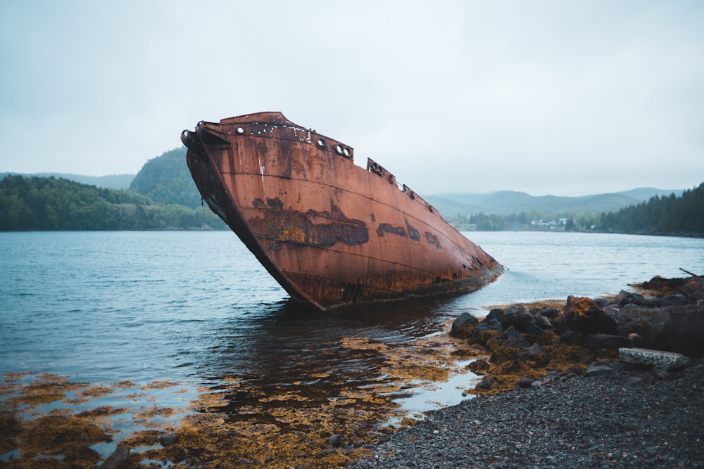 brown boat on body of water near trees at daytime