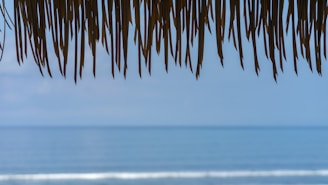 A creative team brainstorming ideas with Okinawa’s ocean view in the background.