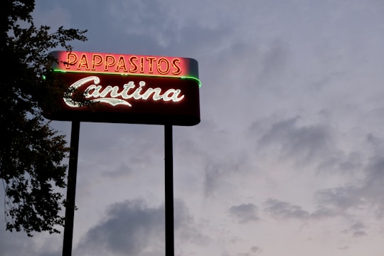 A neon sign with the words 'PAPPASITOS Cantina' is prominently displayed against a cloudy evening sky. The sign is illuminated with red and green neon lights, and some tree branches are visible on the left side.
