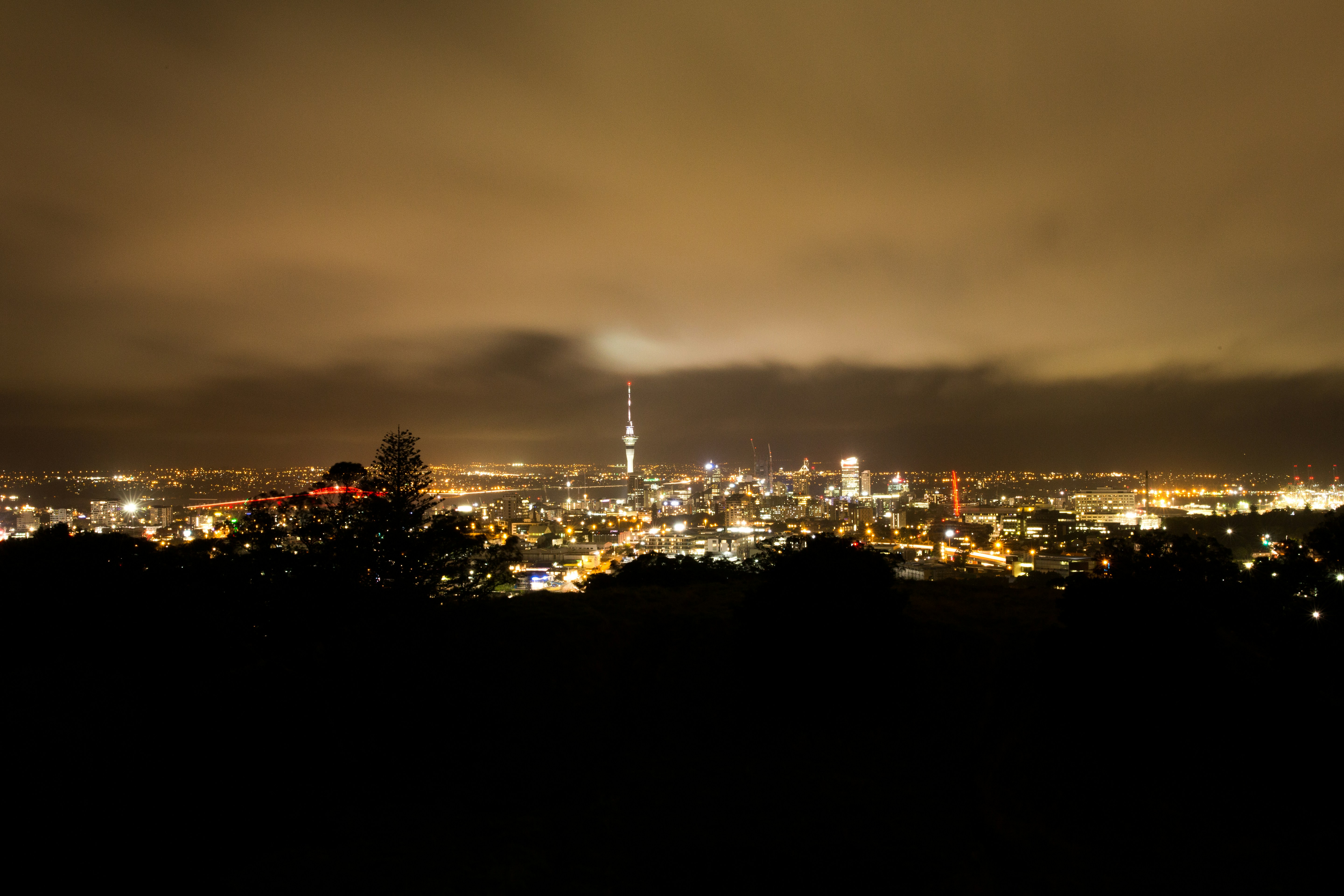 Auckland skyline at night with city lights
