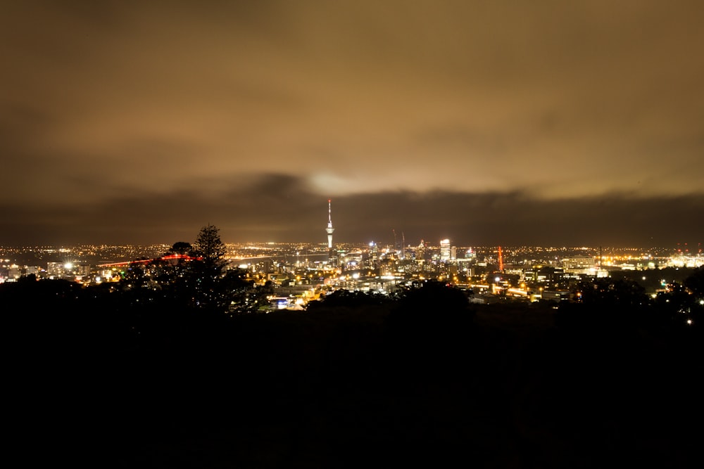 landscape photography of lighted city