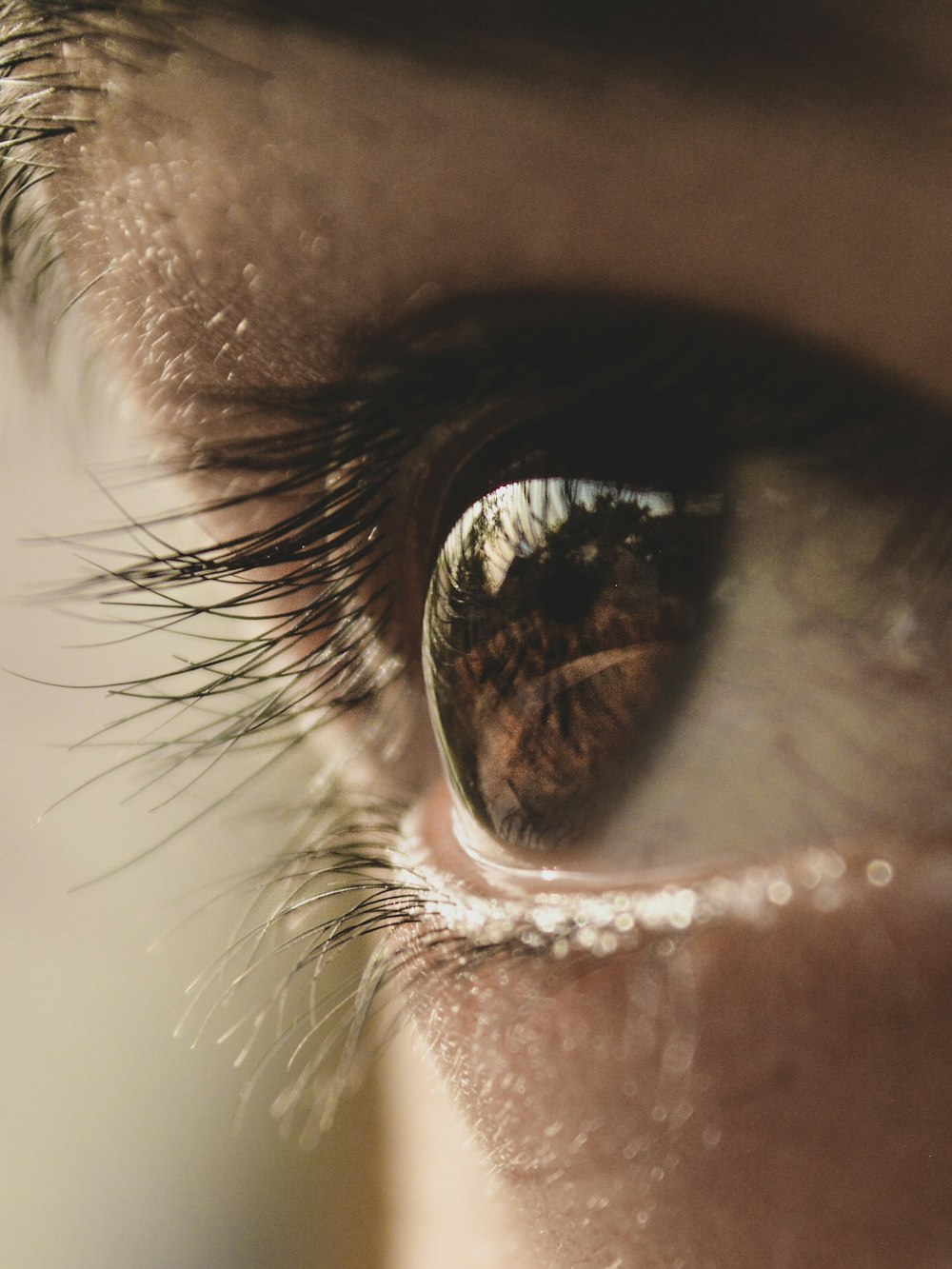 Photographie en gros plan de l’œil humain