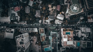 aerial photography of city