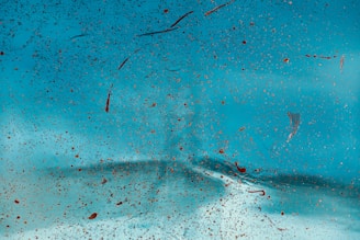 A close-up view of a surface covered with numerous tiny specks and splashes of brownish-red paint against a bright turquoise background. The texture appears irregular, with a blend of smooth and slightly gritty areas, creating an abstract pattern.