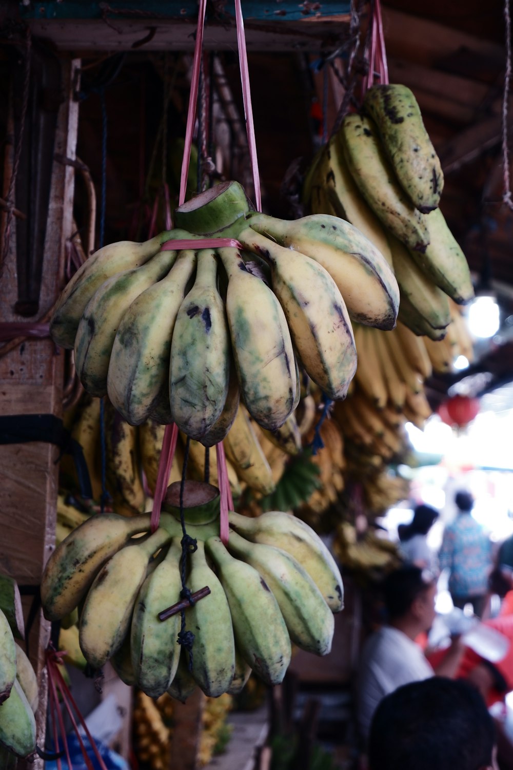 hanged yellow bananas