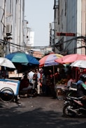 people under umbrellas