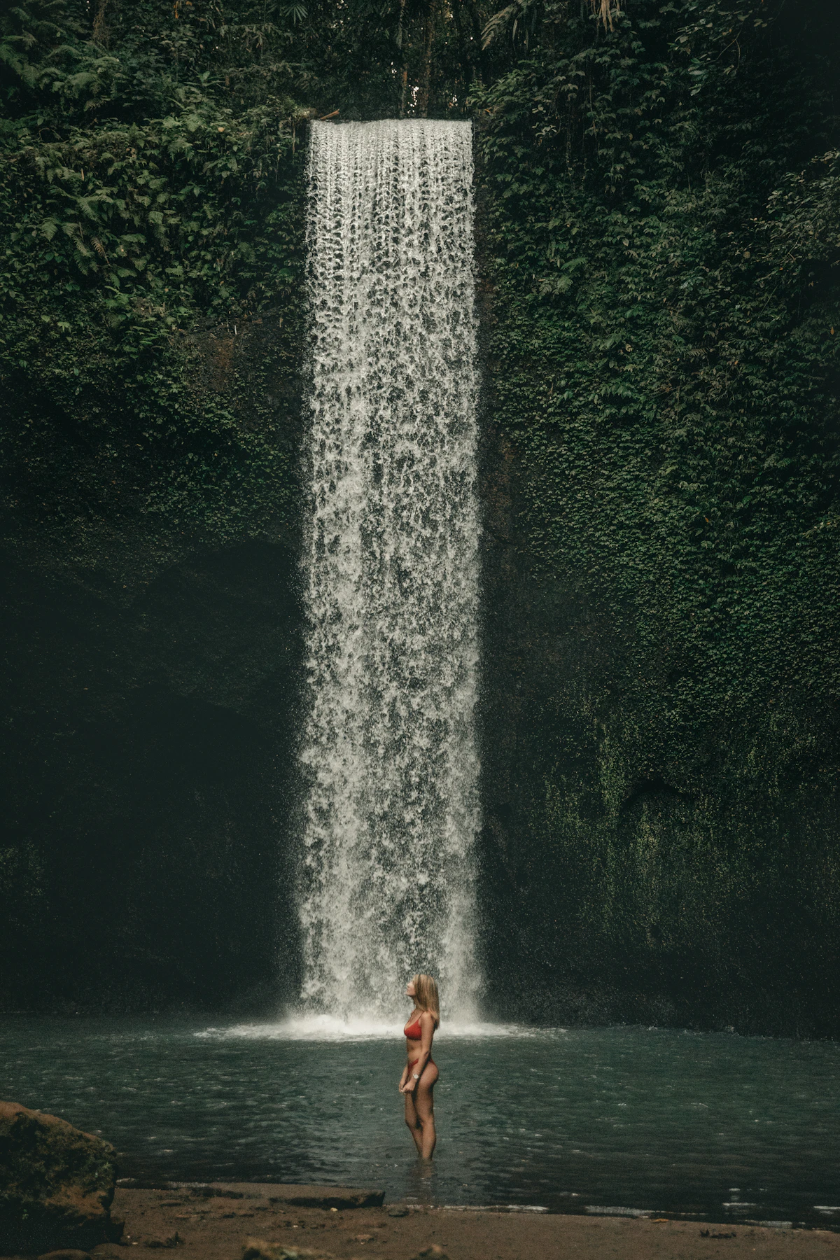Sekumpul & Fiji Waterfalls Comprehensive Jungle Canyon Trek