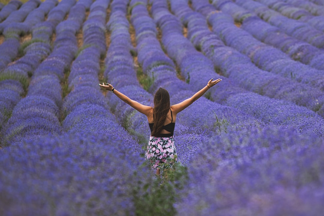 woman standing near lavender pplants