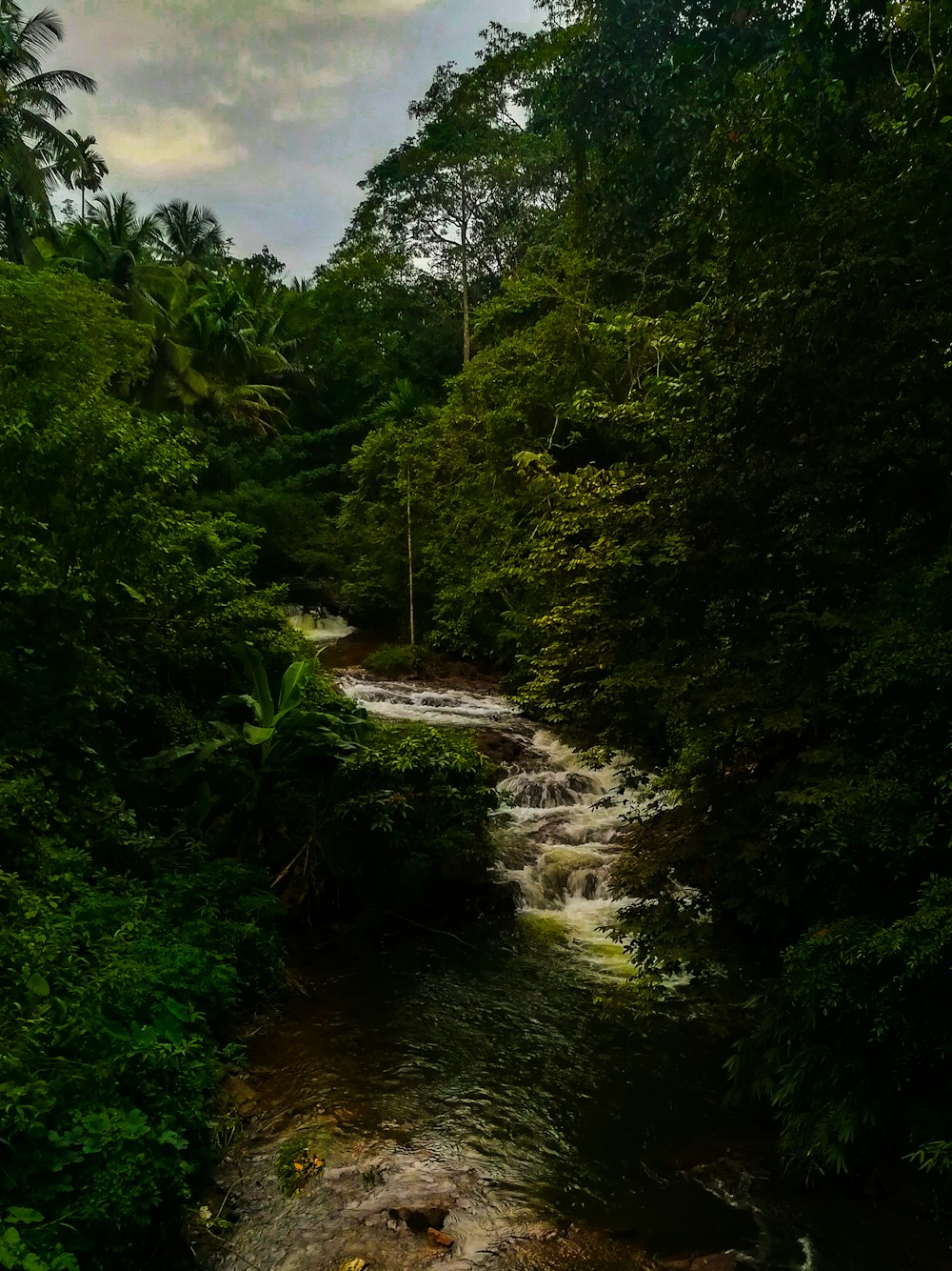 time lapse photography of flowing multi-tier waterfall