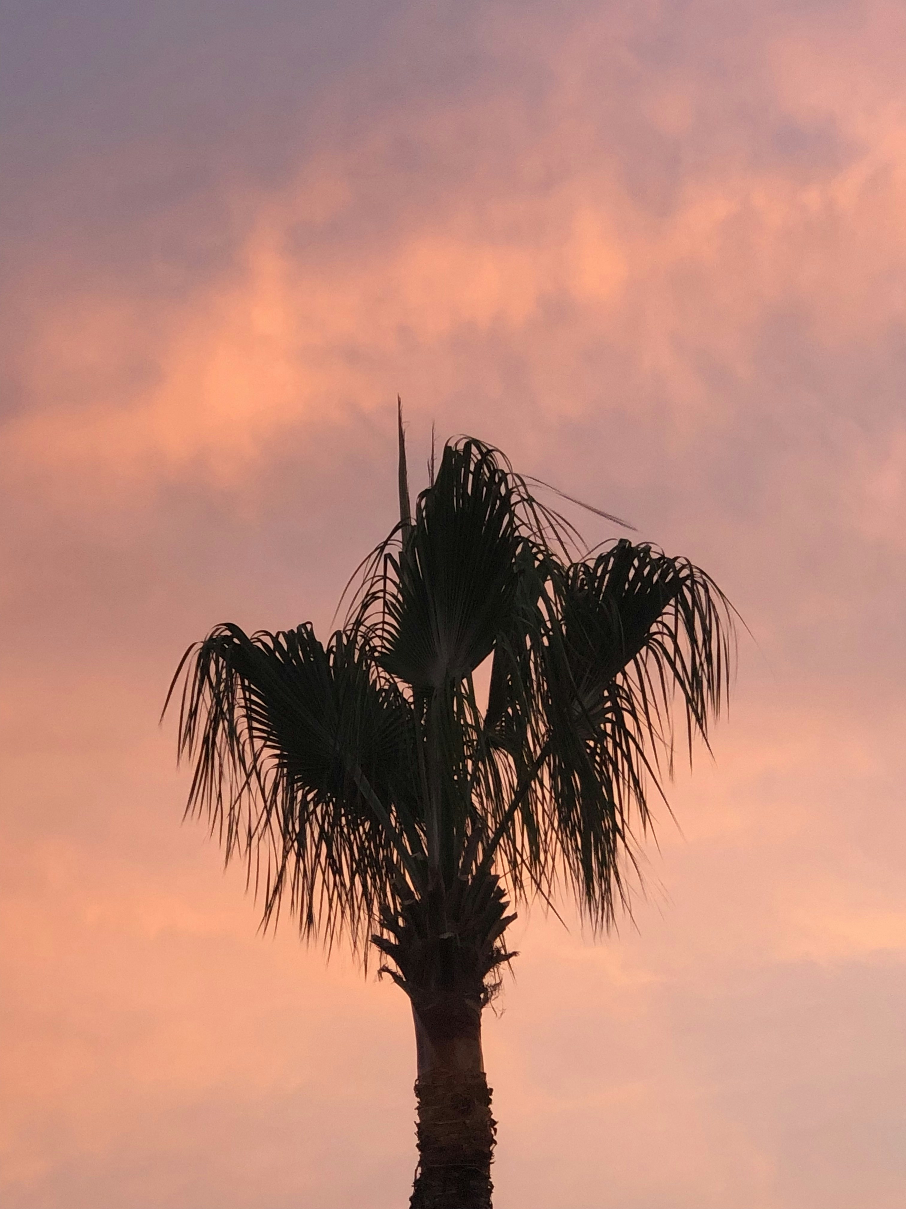 Photo by tolgaturkmenoglu