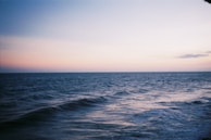 A peaceful ocean wave curling softly under a pastel sunset, representing the flow of emotions.