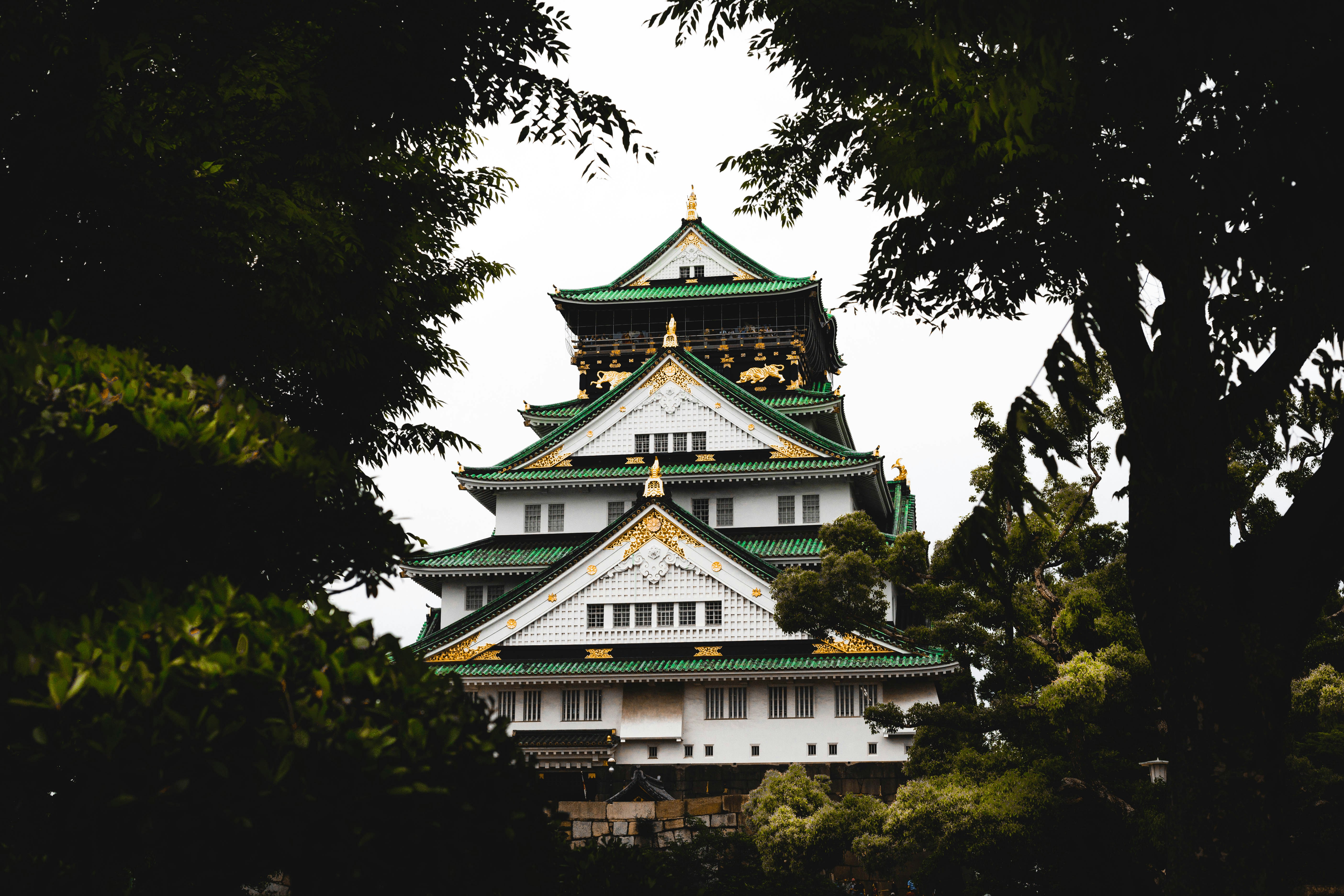 white, green, and gold pagoda building surrounded by green trees