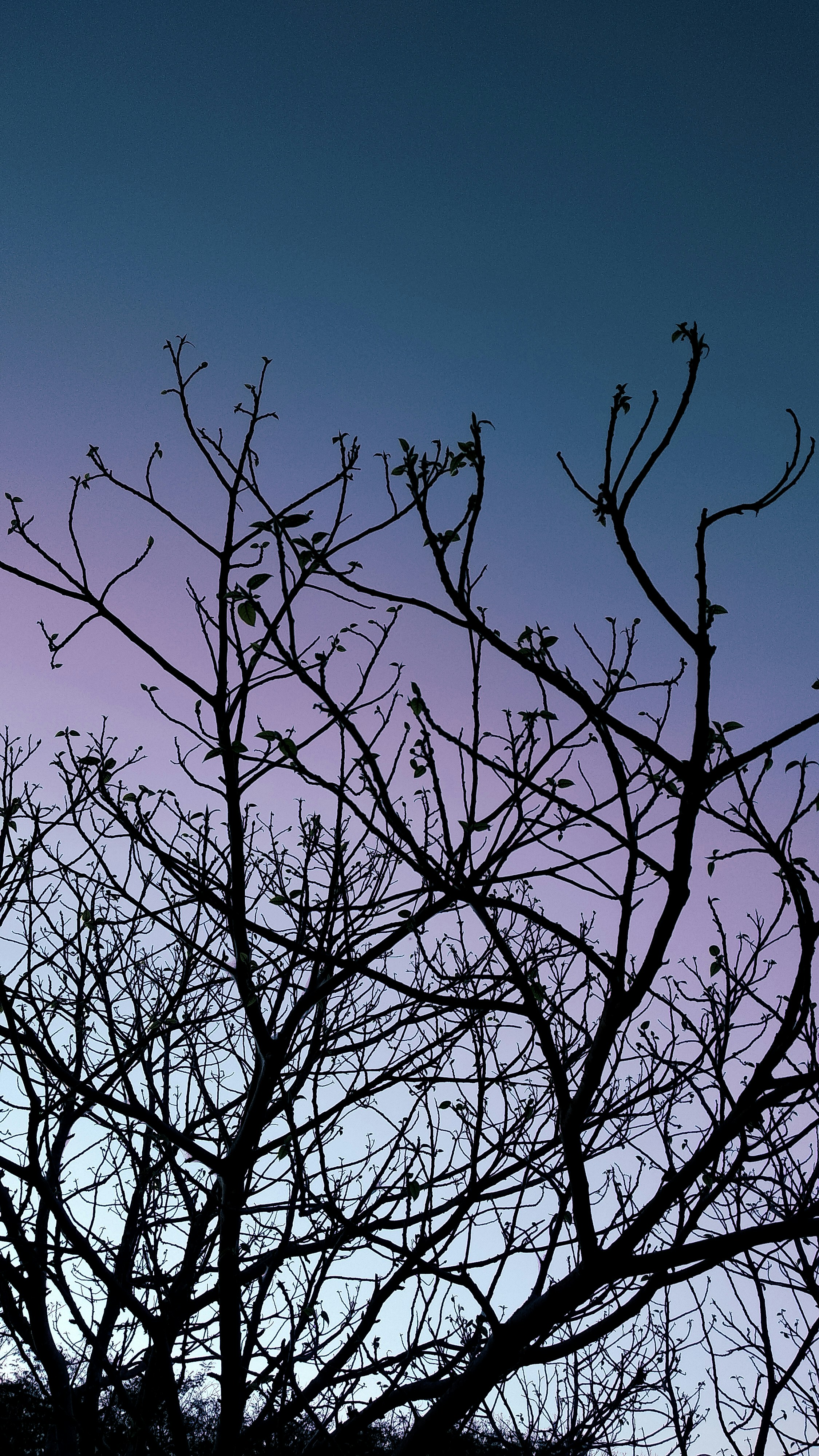 Photo by oktomi_jaya