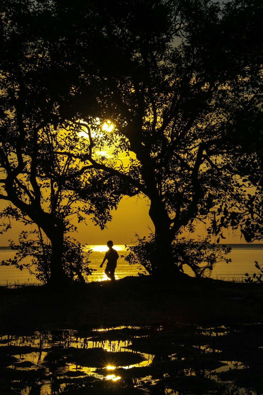 silhouette of boy standing near body of water during golden hour