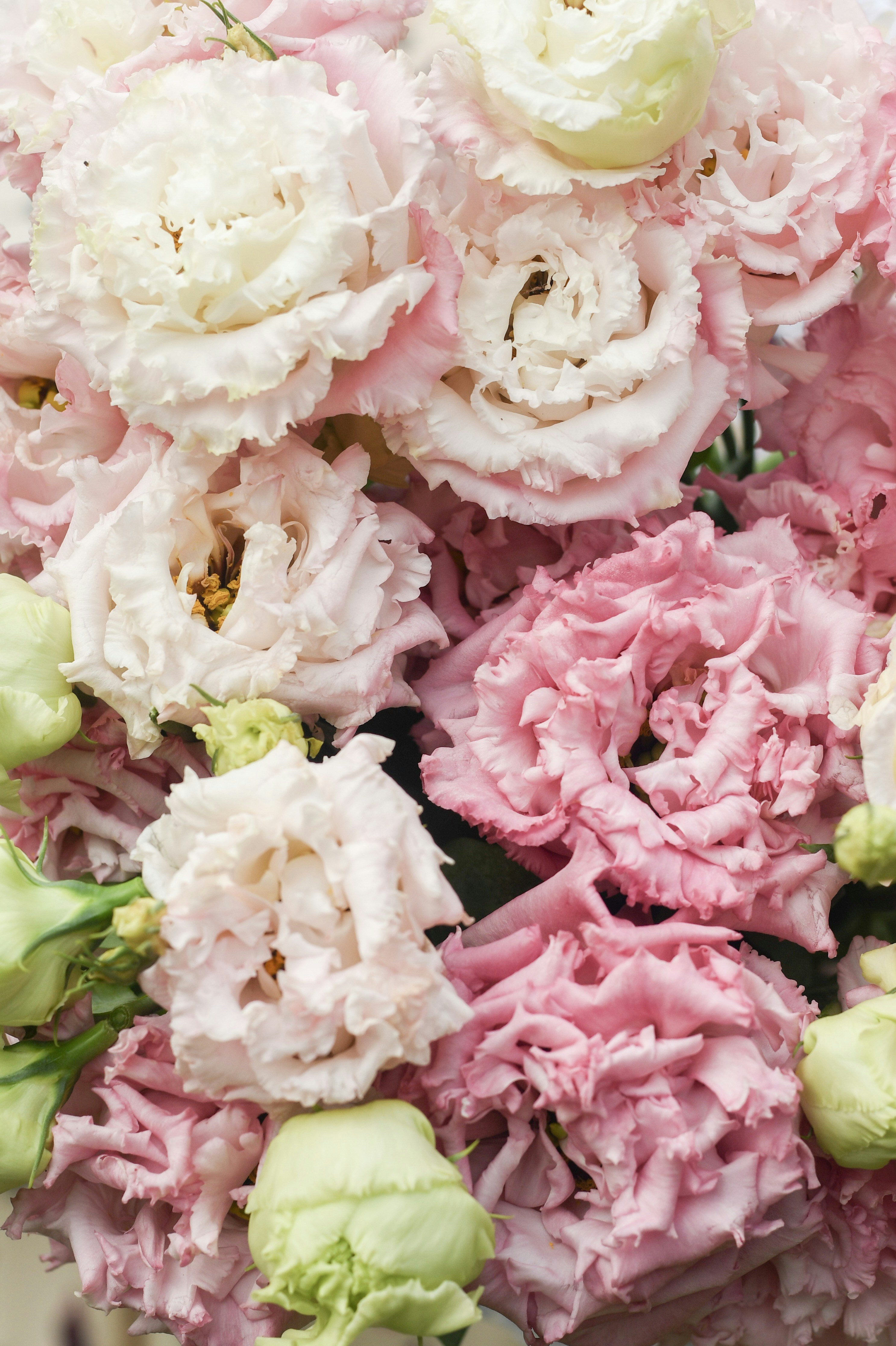 Photo by raspopovamarisha