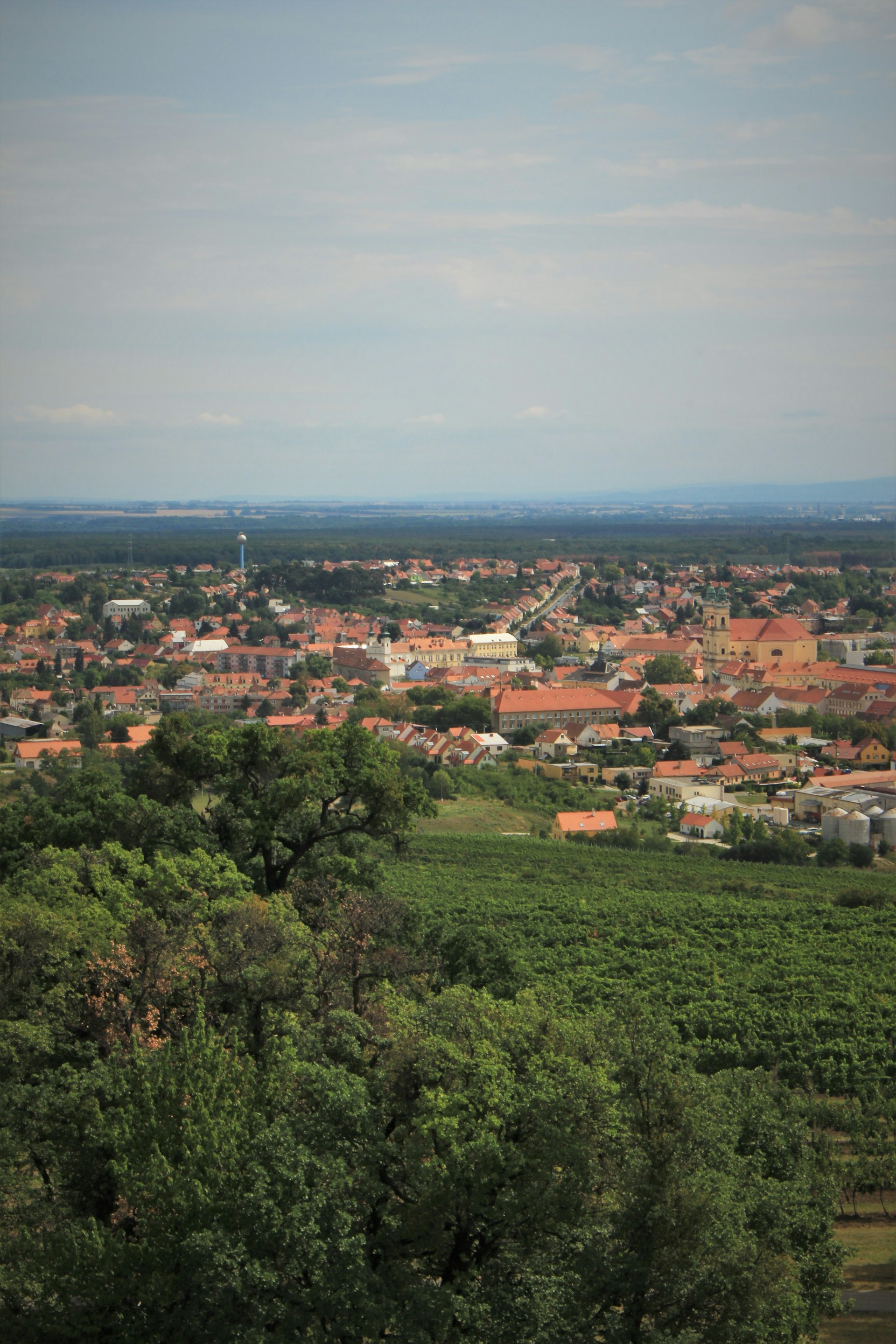 landscape during daytime