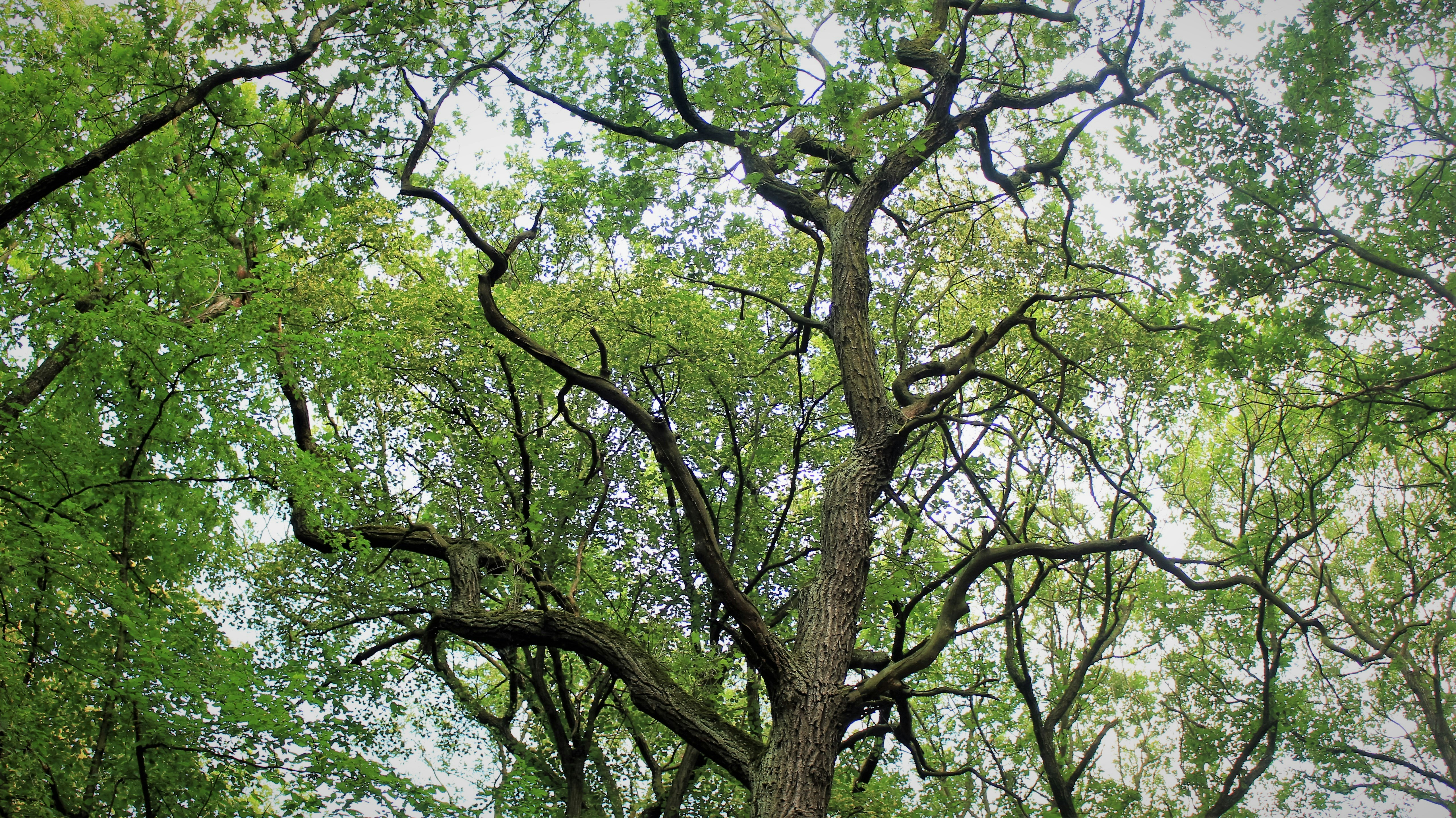 Photo by marjorylucabaxter