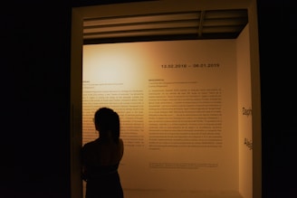 A person stands in front of an illuminated display that features text on a wall. The environment is dimly lit, creating a contrast between the dark silhouette of the observer and the bright text area. The display includes dates and sections of detailed writing, indicating an exhibition or informational piece.