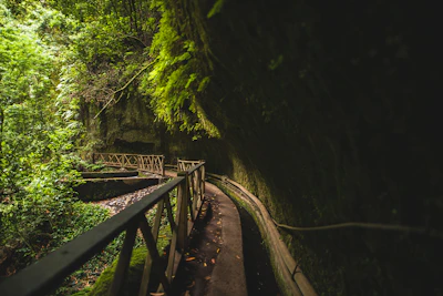 La Palma