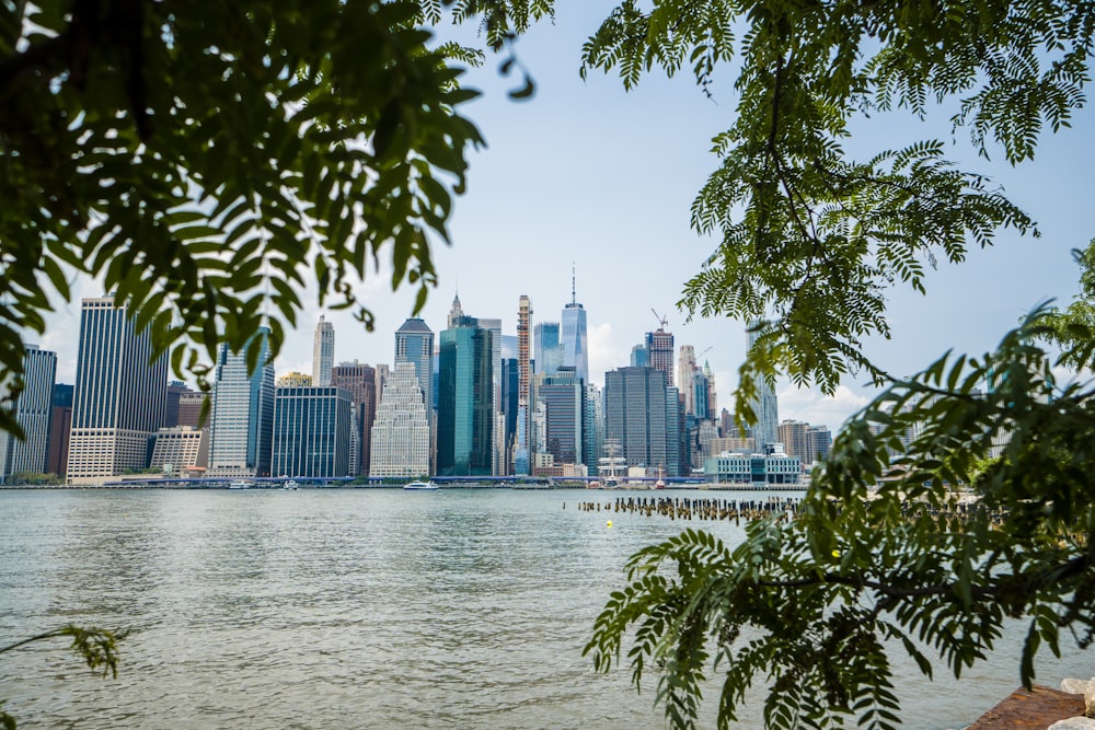 body of water near buildings