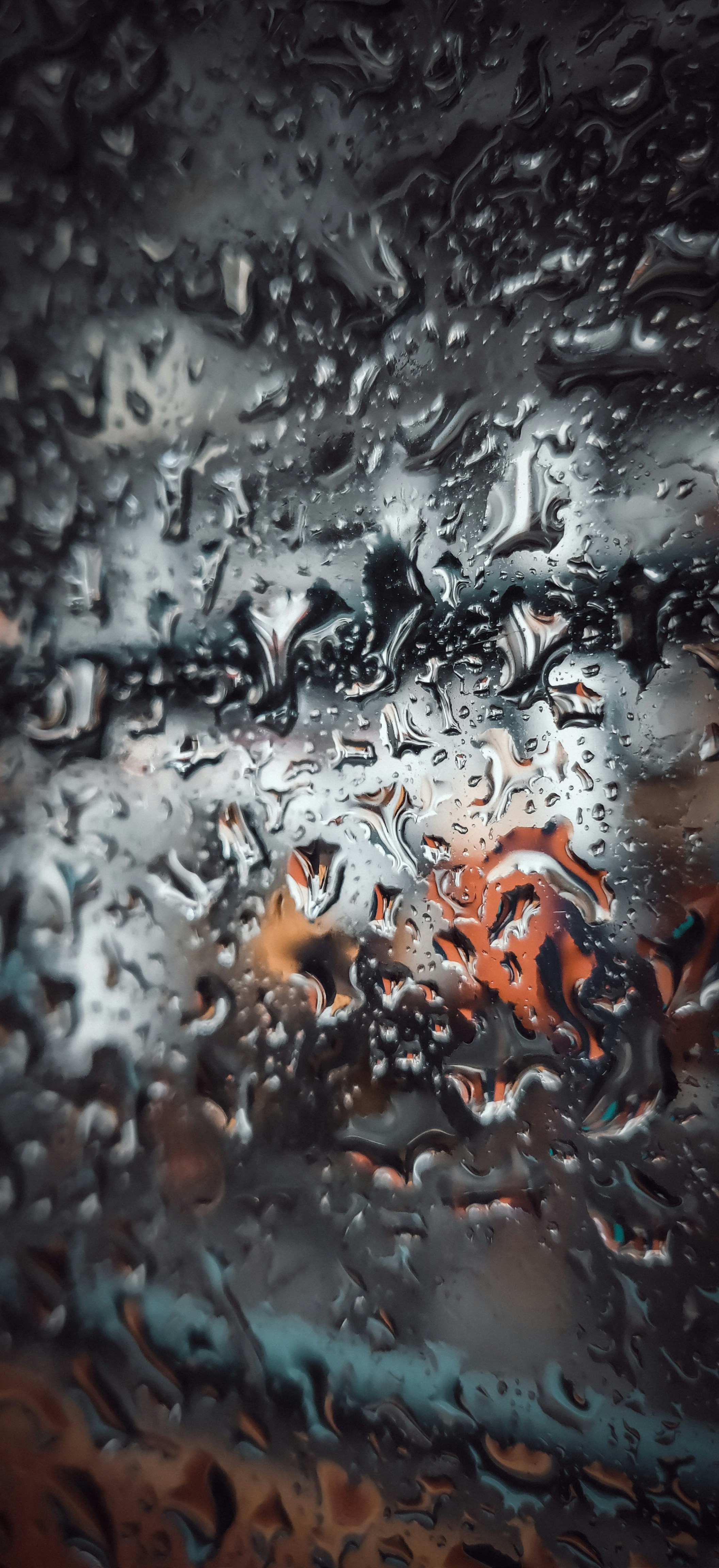 Photo by princejohnson007