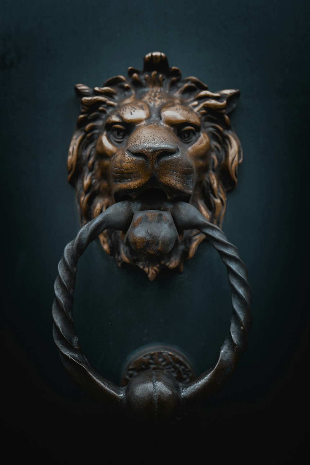 Foto del battente della porta del leone d'acciaio marrone e grigio