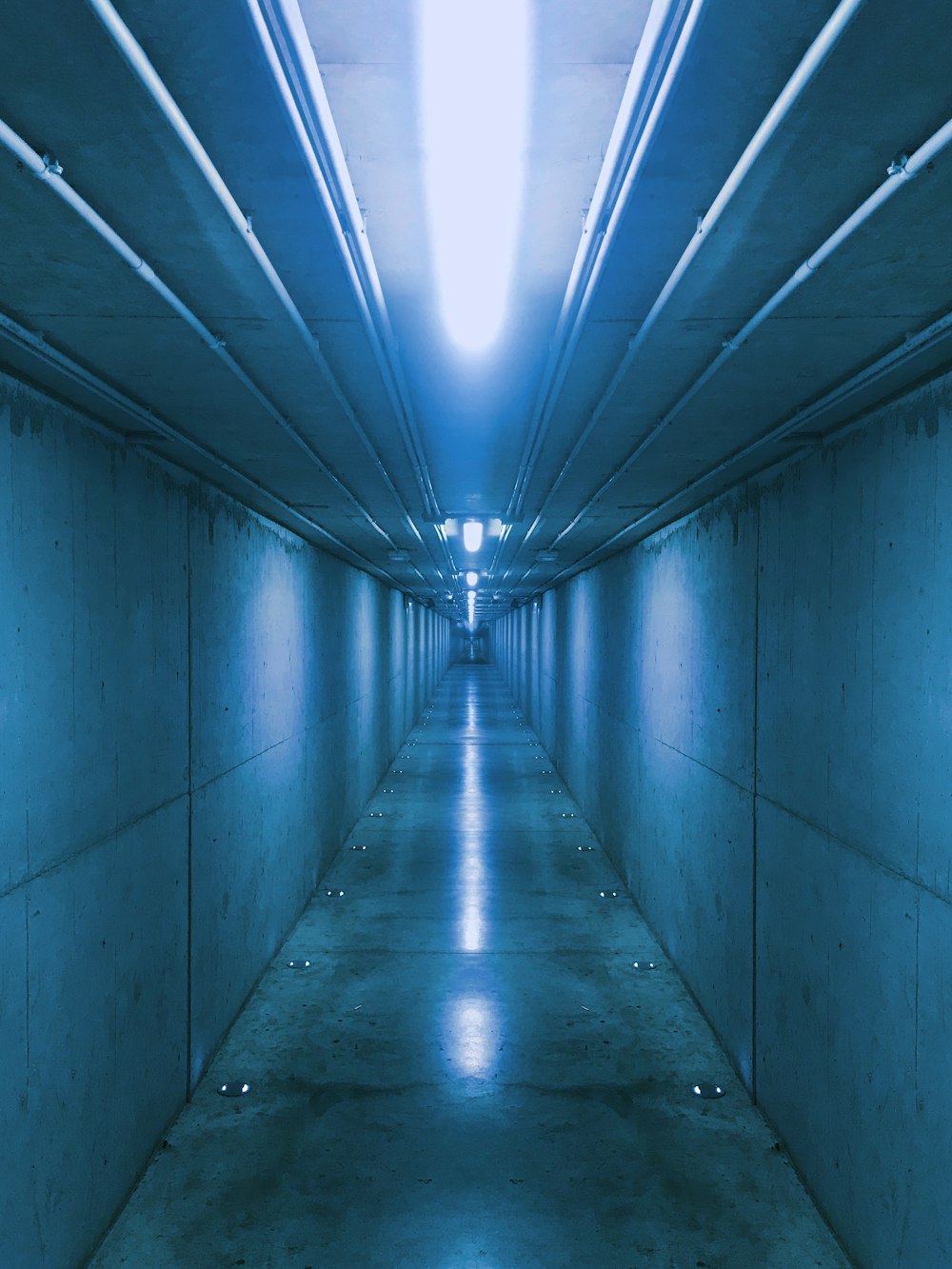 회색 터널